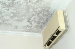 black mold in ac unit