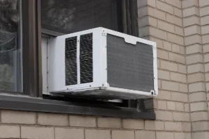 mold in window ac