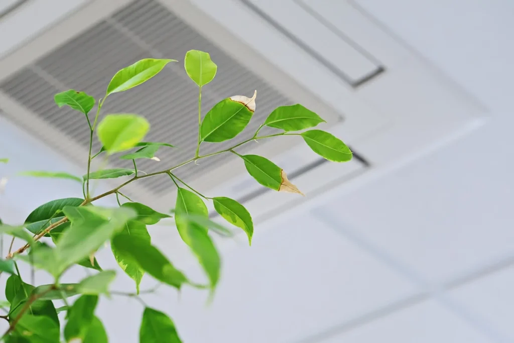 air quality services in tracy ca